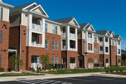 Elder Law News